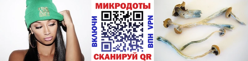 Псилоцибиновые грибы Cubensis Уяр