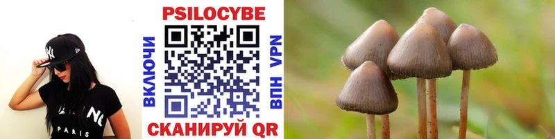 OMG зеркало  дарнет шоп  Уяр  Галлюциногенные грибы прущие грибы 